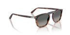 Persol PO 3391S - Havana sfumato