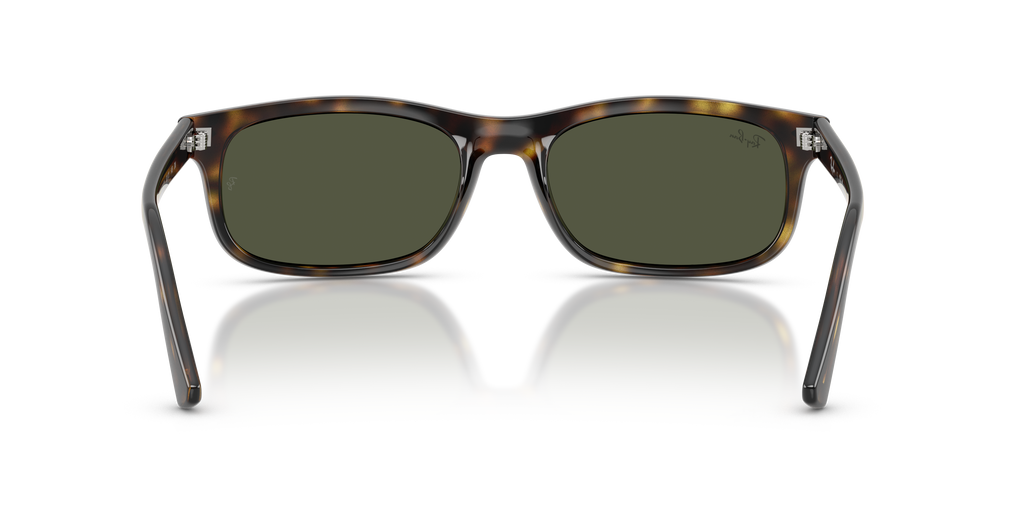 Ray-Ban RB 2224 - Havana
