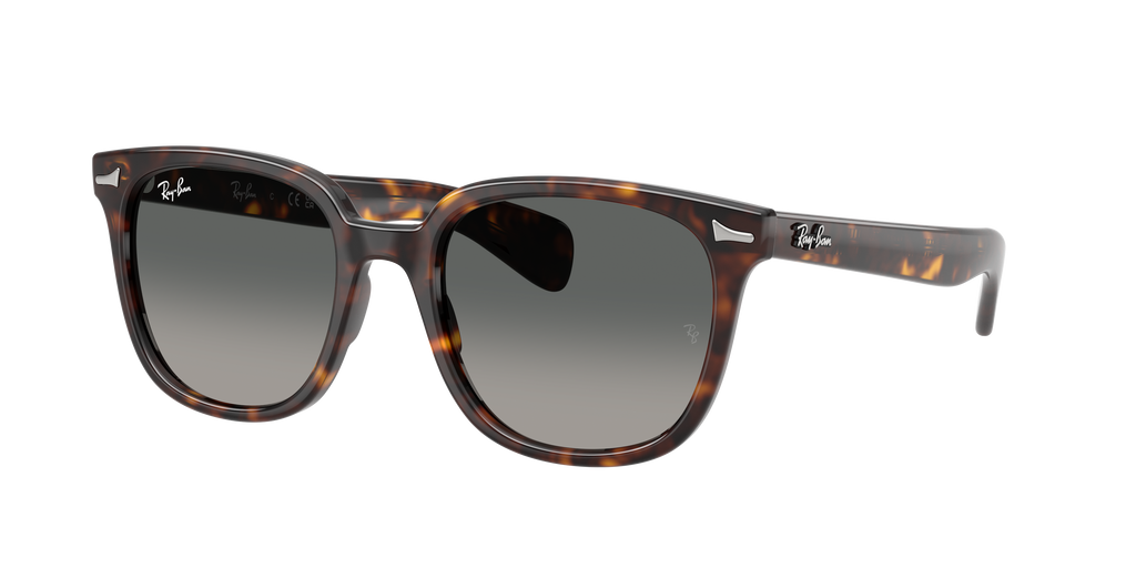 Ray-Ban RB 2235 - Havana