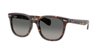 Ray-Ban RB 2235 - Havana