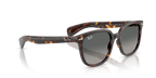Ray-Ban RB 2235 - Havana