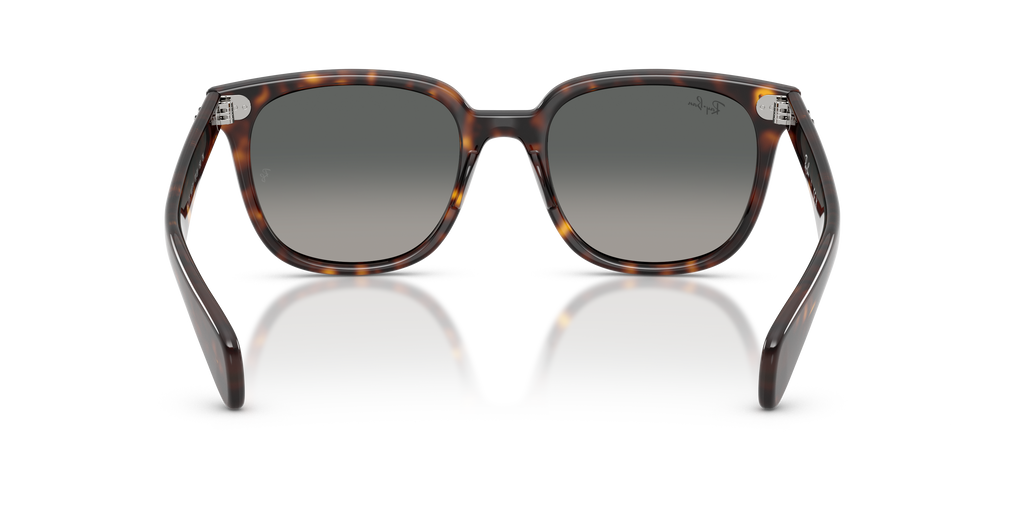 Ray-Ban RB 2235 - Havana