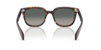 Ray-Ban RB 2235 - Havana