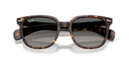 Ray-Ban RB 2235 - Havana