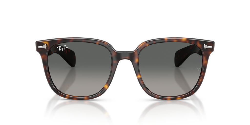 Ray-Ban RB 2235 - Havana