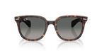 Ray-Ban RB 2235 - Havana