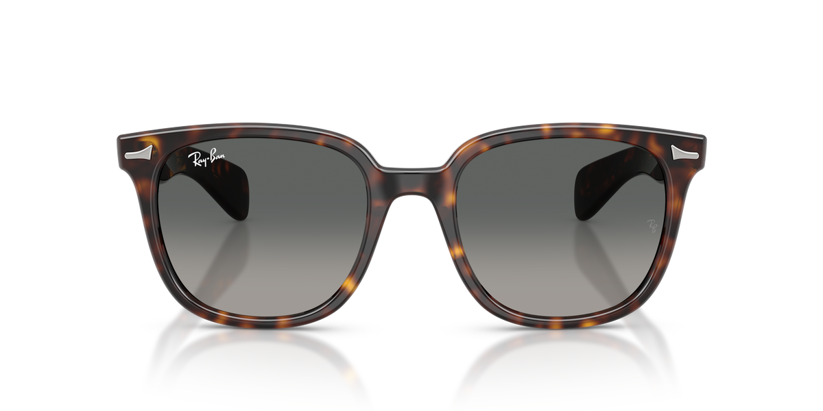 Ray-Ban RB 2235 - Havana