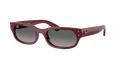 Ray-Ban RB 2236 - Bordeaux