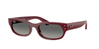 Ray-Ban RB 2236 - Bordeaux