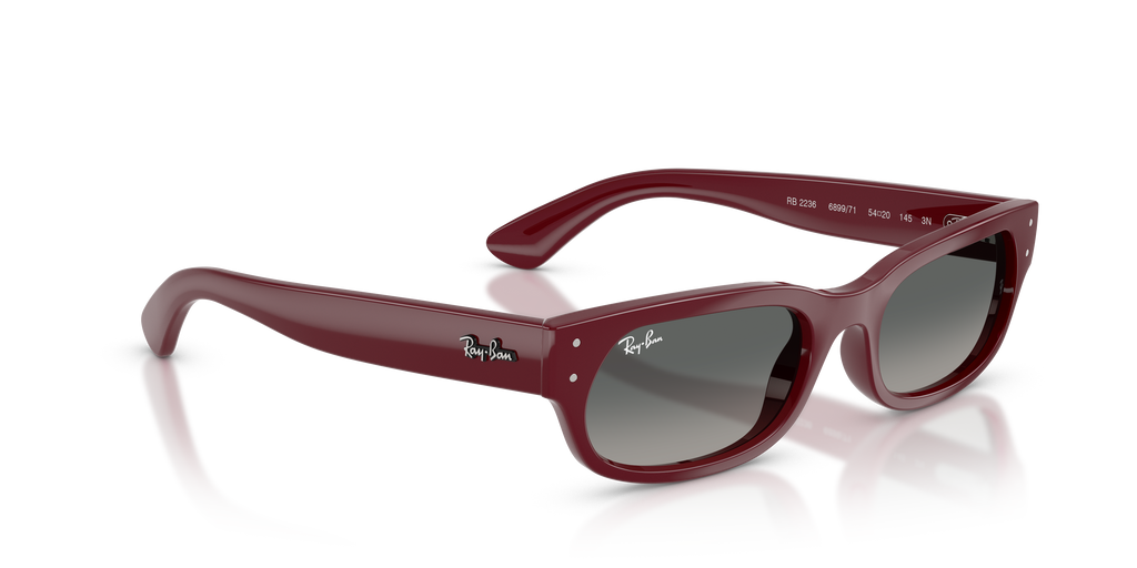 Ray-Ban RB 2236 - Bordeaux