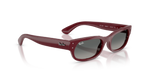 Ray-Ban RB 2236 - Bordeaux