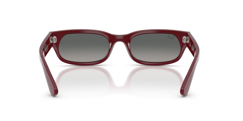 Ray-Ban RB 2236 - Bordeaux
