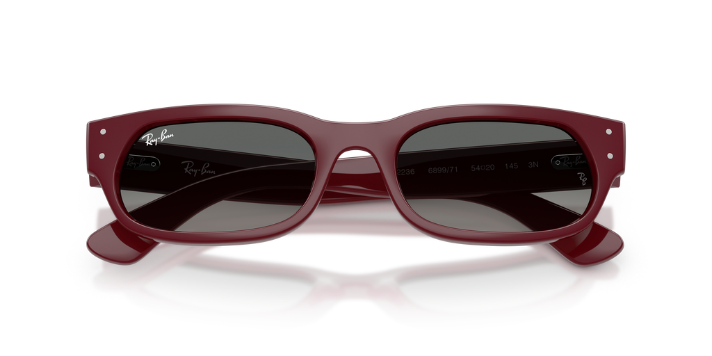 Ray-Ban RB 2236 - Bordeaux