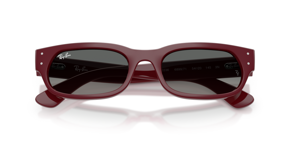 Ray-Ban RB 2236 - Bordeaux