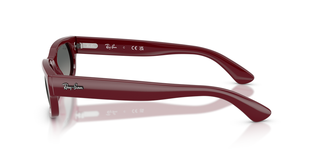 Ray-Ban RB 2236 - Bordeaux