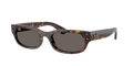 Ray-Ban RB 2236 - Havana