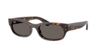 Ray-Ban RB 2236 - Havana