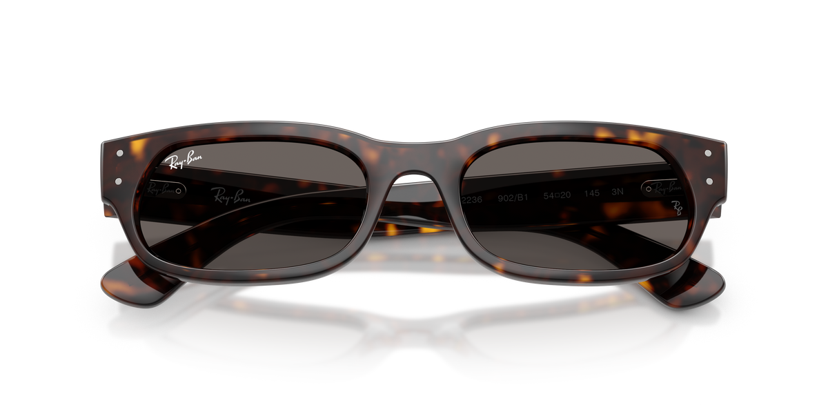 Ray-Ban RB 2236 - Havana