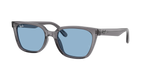 Ray-Ban RB 2243D - Grigio trasparente