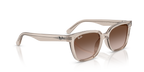 Ray-Ban RB 2243D - Marrone chiaro trasparente