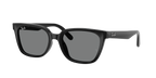 Ray-Ban RB 2243D - Nero