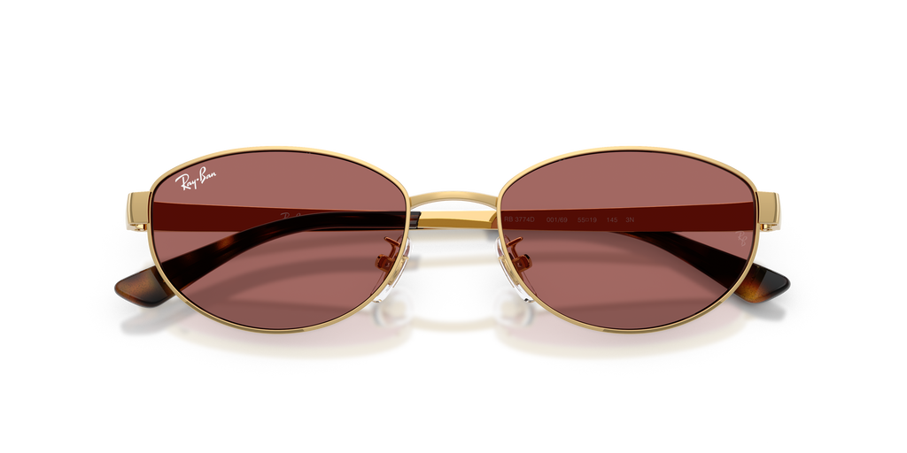 Ray-Ban RB 3774D - Arista