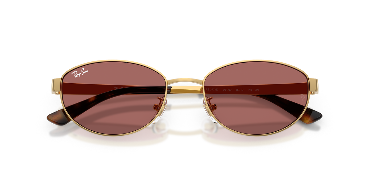 Ray-Ban RB 3774D - Arista