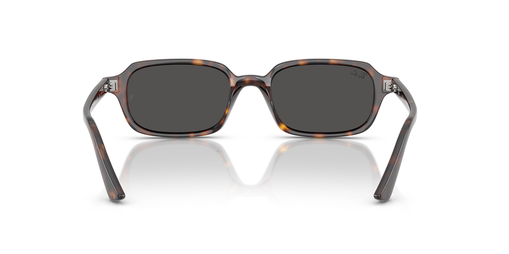 Ray-Ban RB 4455 - Havana