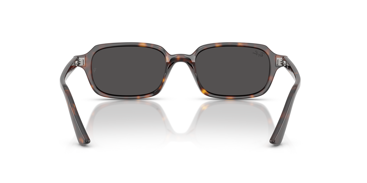 Ray-Ban RB 4455 - Havana