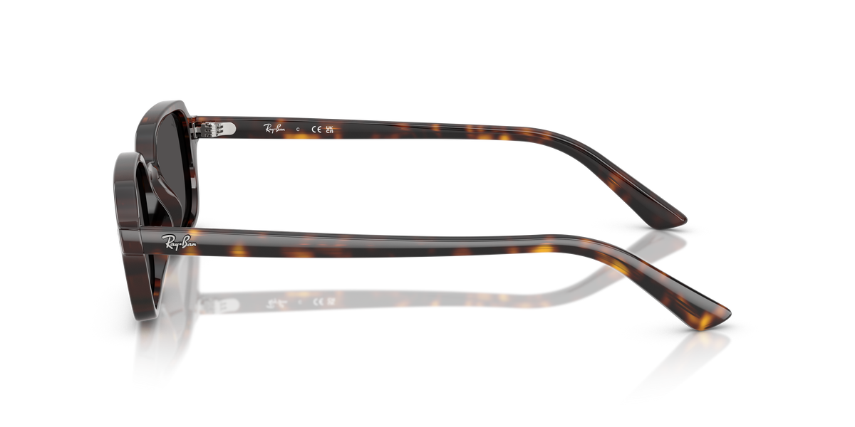 Ray-Ban RB 4455 - Havana
