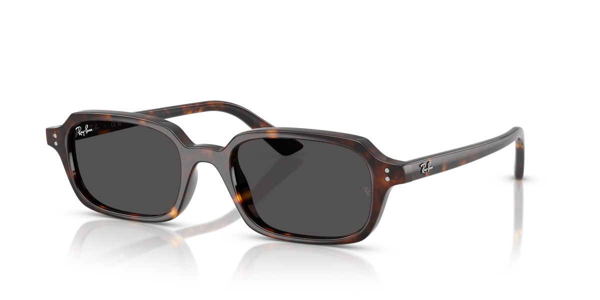 Ray-Ban RB 4455 - Havana