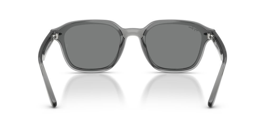 Ray-Ban RB 4458D - Grigio trasparente