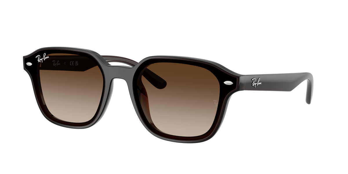 Ray-Ban RB 4458D - Marrone scuro trasparente