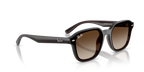 Ray-Ban RB 4458D - Marrone scuro trasparente