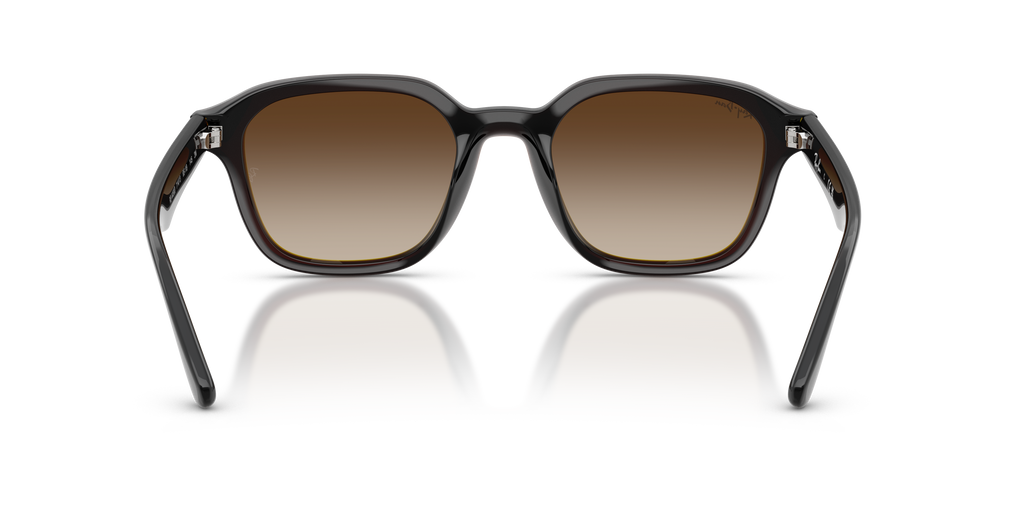 Ray-Ban RB 4458D - Marrone scuro trasparente