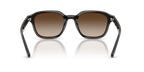 Ray-Ban RB 4458D - Marrone scuro trasparente