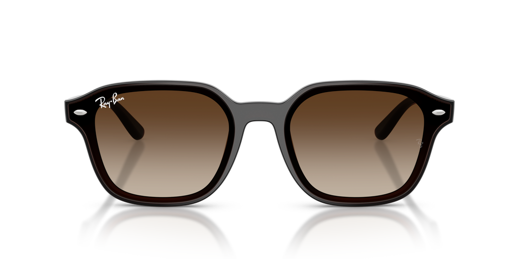 Ray-Ban RB 4458D - Marrone scuro trasparente