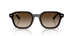 Ray-Ban RB 4458D - Marrone scuro trasparente